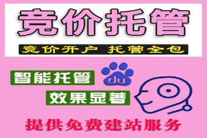 百度搜索广告推广的实战案例详解